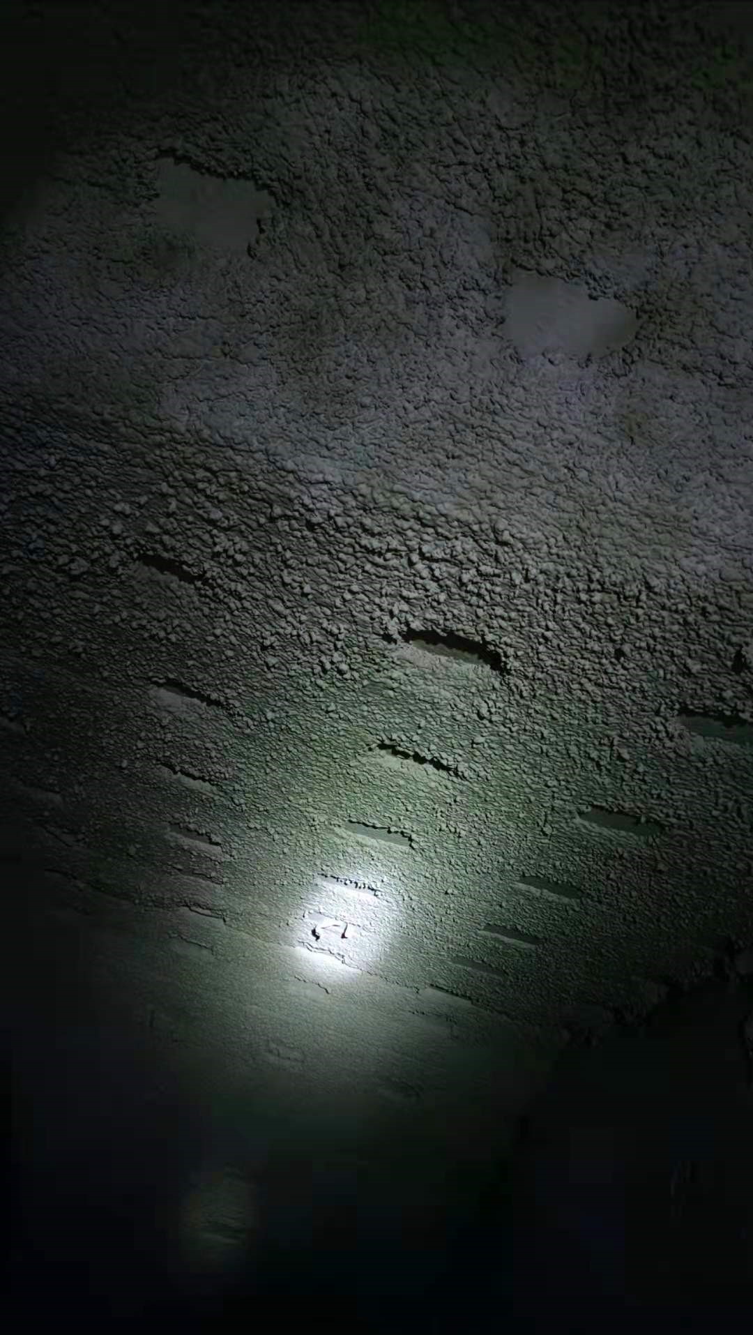 1628753913515332.jpg 4.jpg